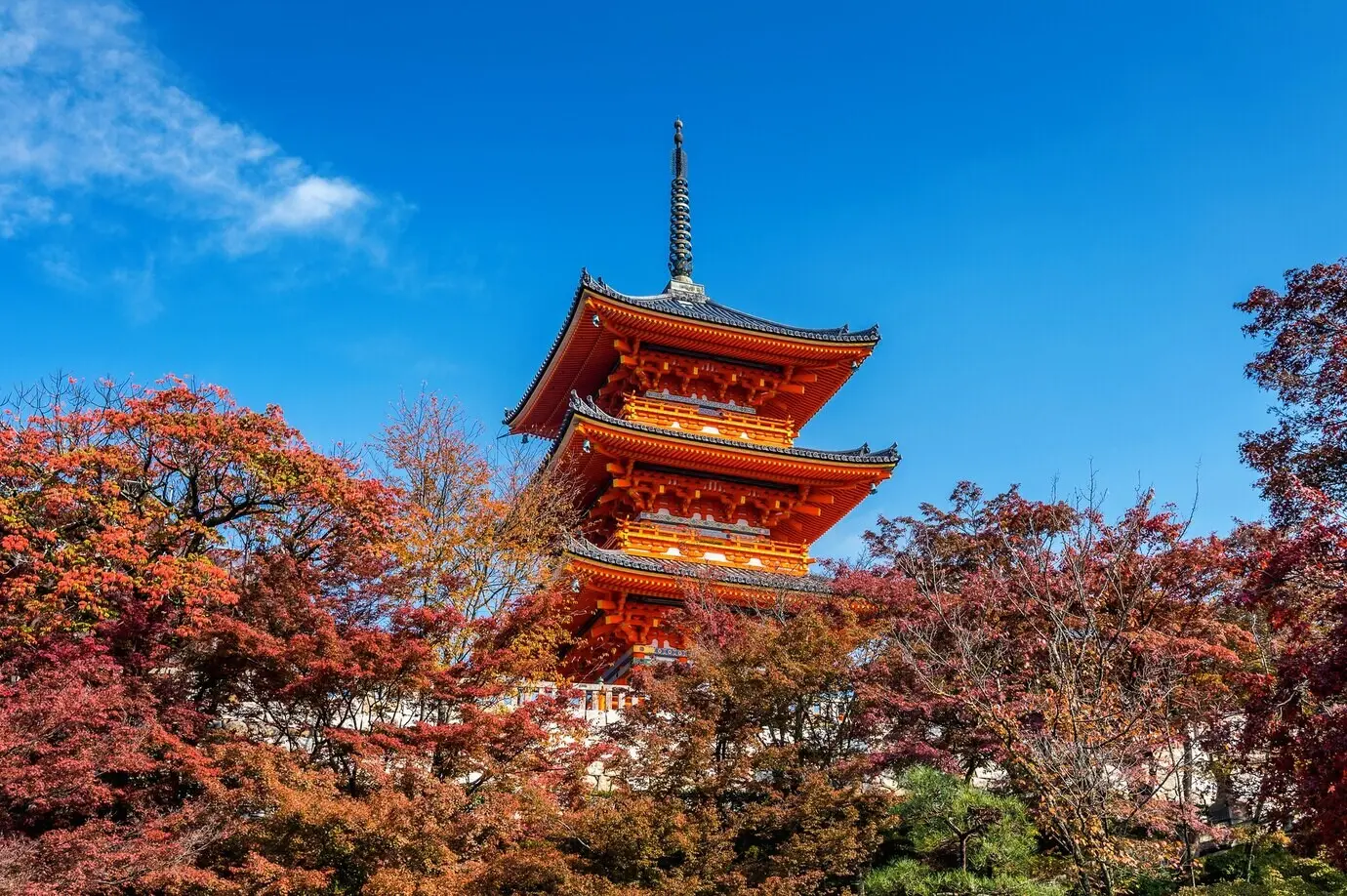 Kiyomizu-dera im Herbst in Kyoto, Japan.